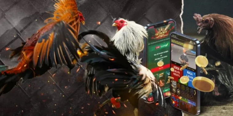 Thống Lĩnh Đấu Trường Đá Gà GA28 Xin88 Kỹ Năng Đỉnh Cao 2 Thống Lĩnh Đấu Trường Đá Gà GA28 Xin88 Kỹ Năng Đỉnh Cao