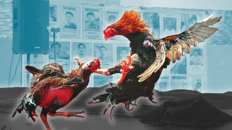 Bậc Thầy Đá Gà Sabong Xin88 Đọc Vị Kèo Thơm Thắng Lớn 2 Bậc Thầy Đá Gà Sabong Xin88 Đọc Vị Kèo Thơm Thắng Lớn