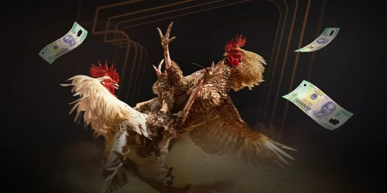 Đá Gà Xin88 Đấu Trường Kinh Điển Bùng Nổ Cảm Xúc