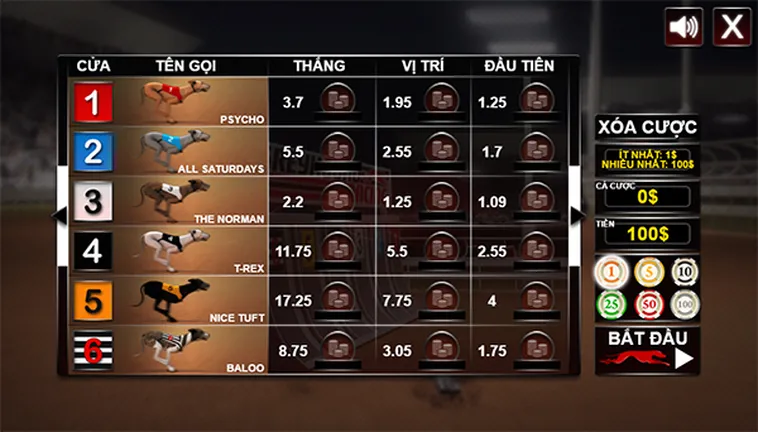 Tuyệt Chiêu Chơi Đua Chó Xin88 Giúp Bạn Về Bờ An Toàn