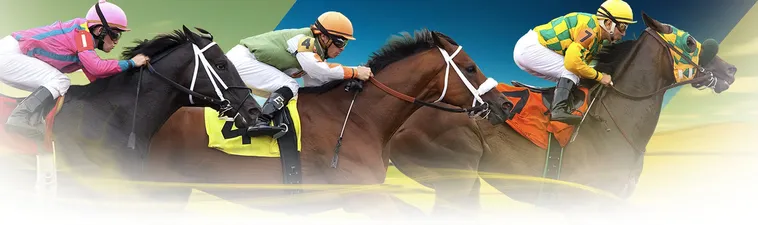 Khám Phá Đỉnh Cao Cá Cược Đua Ngựa Xin88 Uy Tín Hàng Đầu 1 Khám Phá Đỉnh Cao Cá Cược Đua Ngựa Xin88 Uy Tín Hàng Đầu